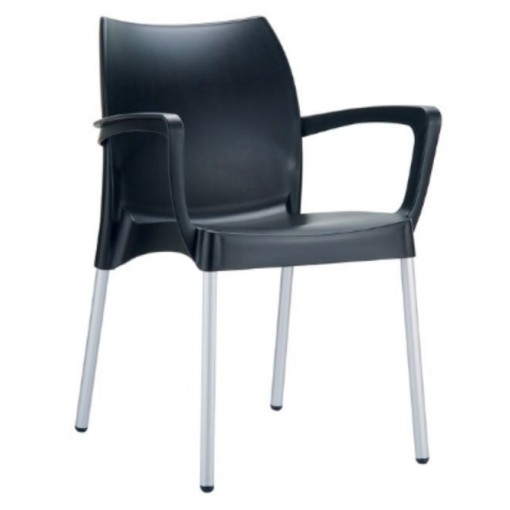 Domenica Arm Chair in Black
